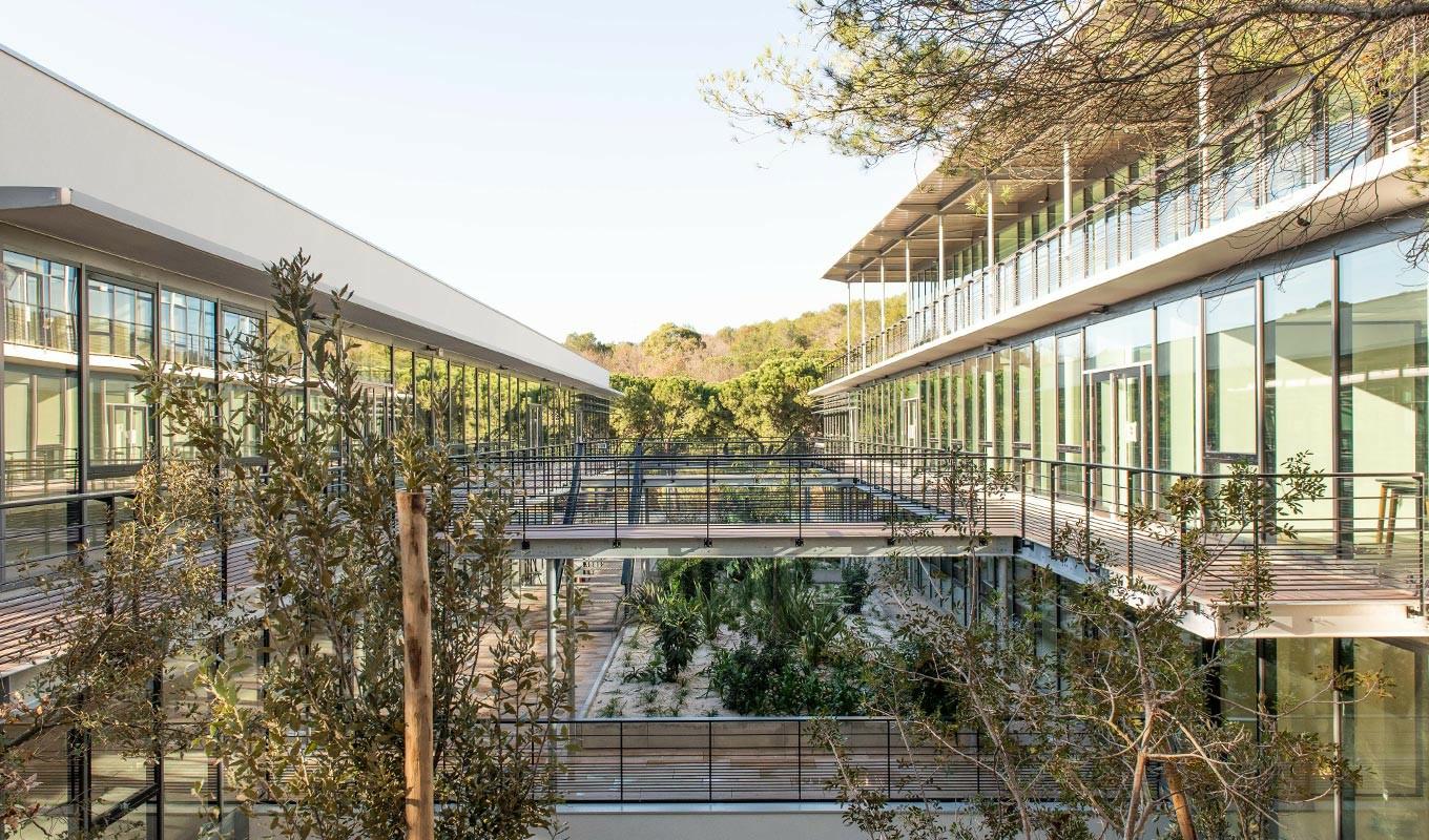 Bureau Sophia Antipolis 468m² Location bureau Sophia Antipolis Alpes-Maritimes OLBUR2529500 9